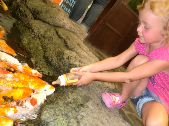 Девочка кормит рыбок из соски